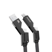 Cable CL-012 4IN1