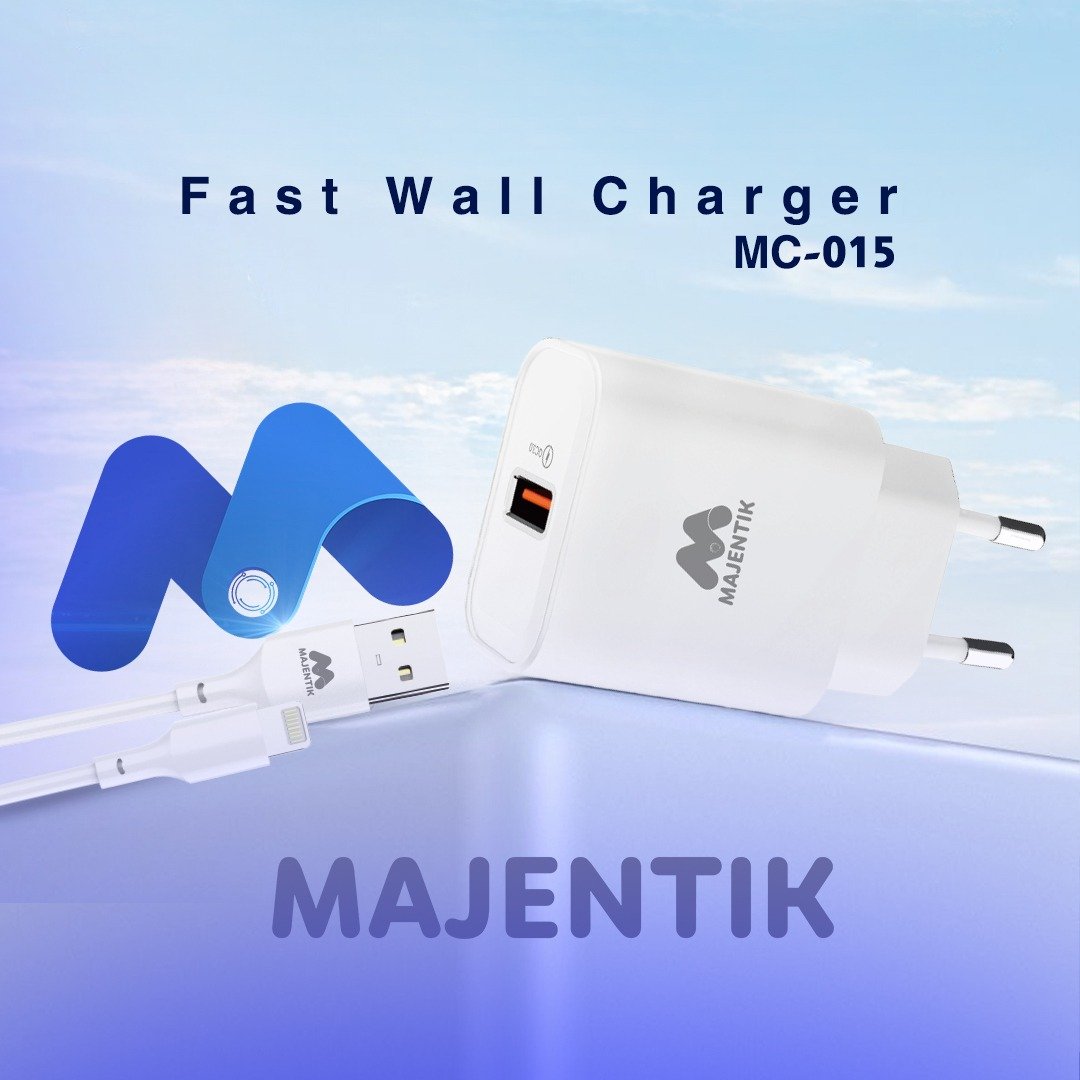 mc-015 L Charger MC-015 L - Image 1